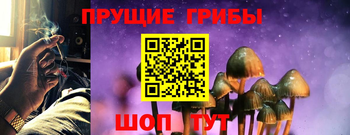 Псилоцибиновые грибы MAGIC MUSHROOMS  Вход с VPN  наркота  Баксан 